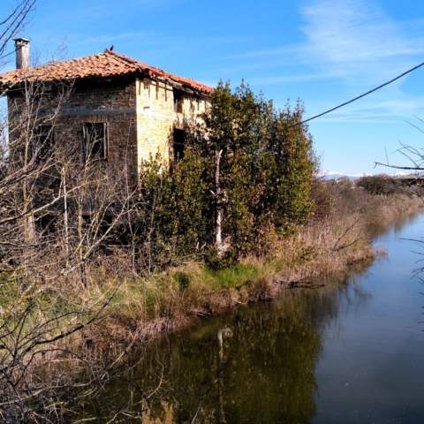Marano Lagunare
