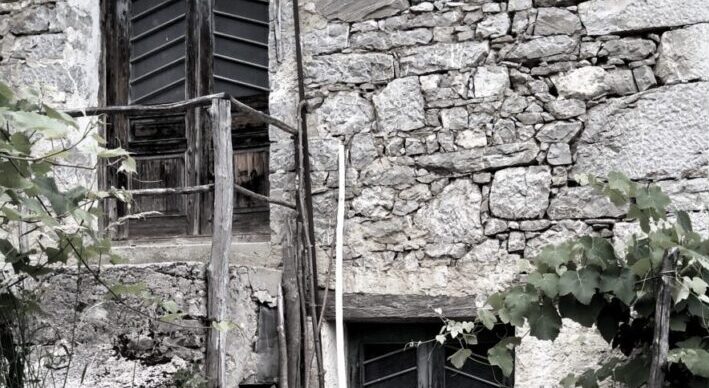 fino al midollo i diòsperi | Antonella Bukovaz poèmes