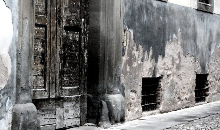 fino al midollo i diòsperi | Mario Benedetti | poèmes