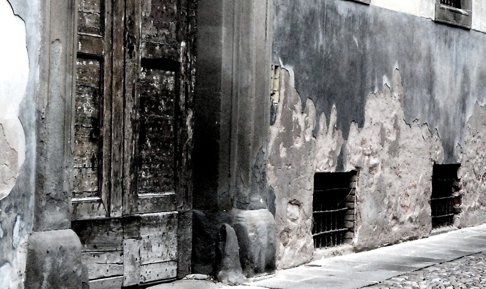 fino al midollo i diòsperi | Mario Benedetti | poèmes