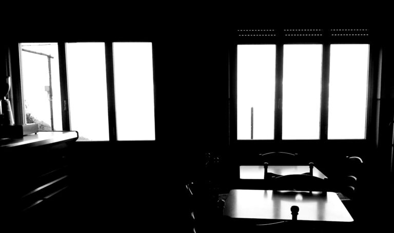 fino al midollo i diòsperi | Gabriella Leto | poèmes